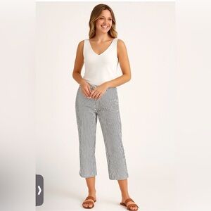 Talbots Seersucker Striped Cropped Pants Blue/White Sz. 6 NWT